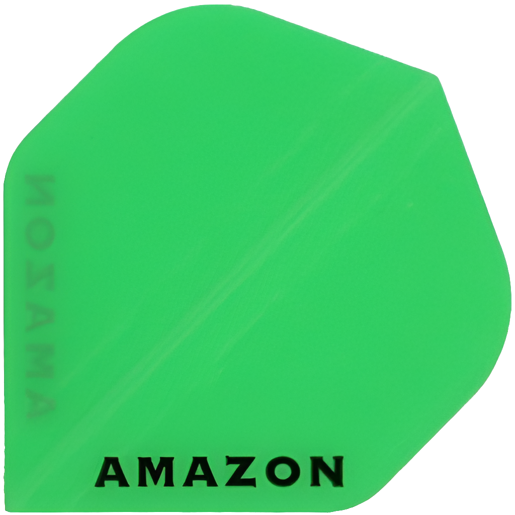 Amazon - Flights 100