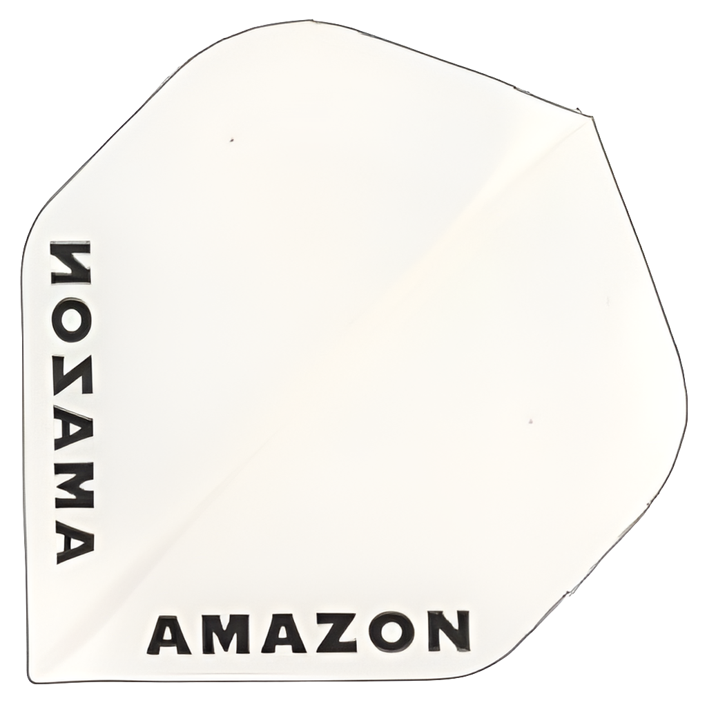 Amazon - Flights 100