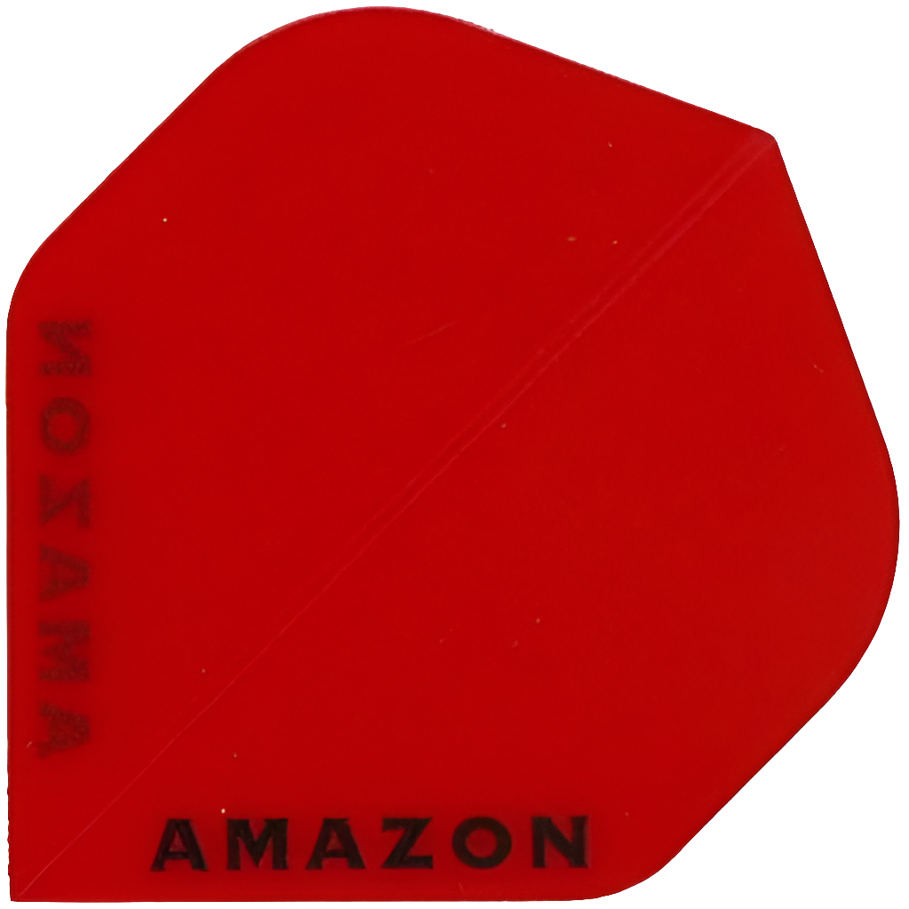 Amazon - Flights 100