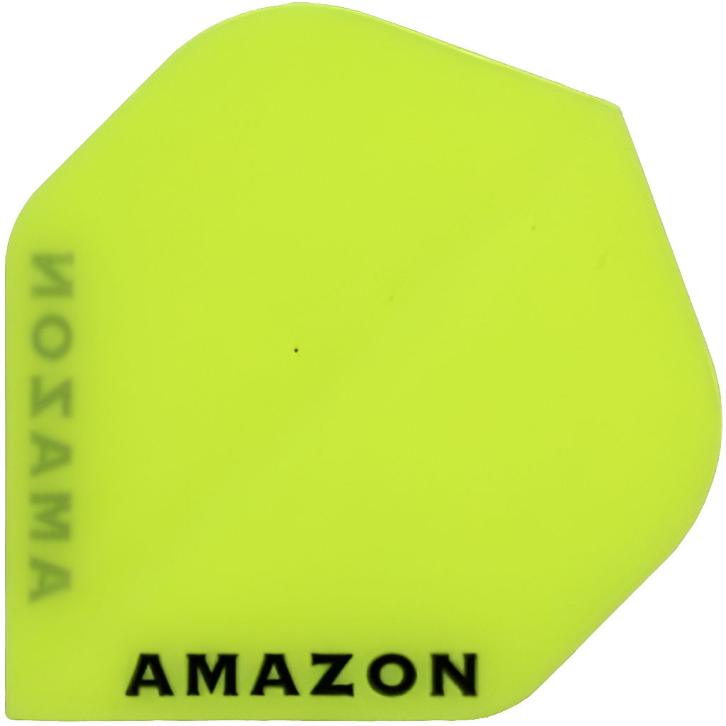 Amazon - Flights 100