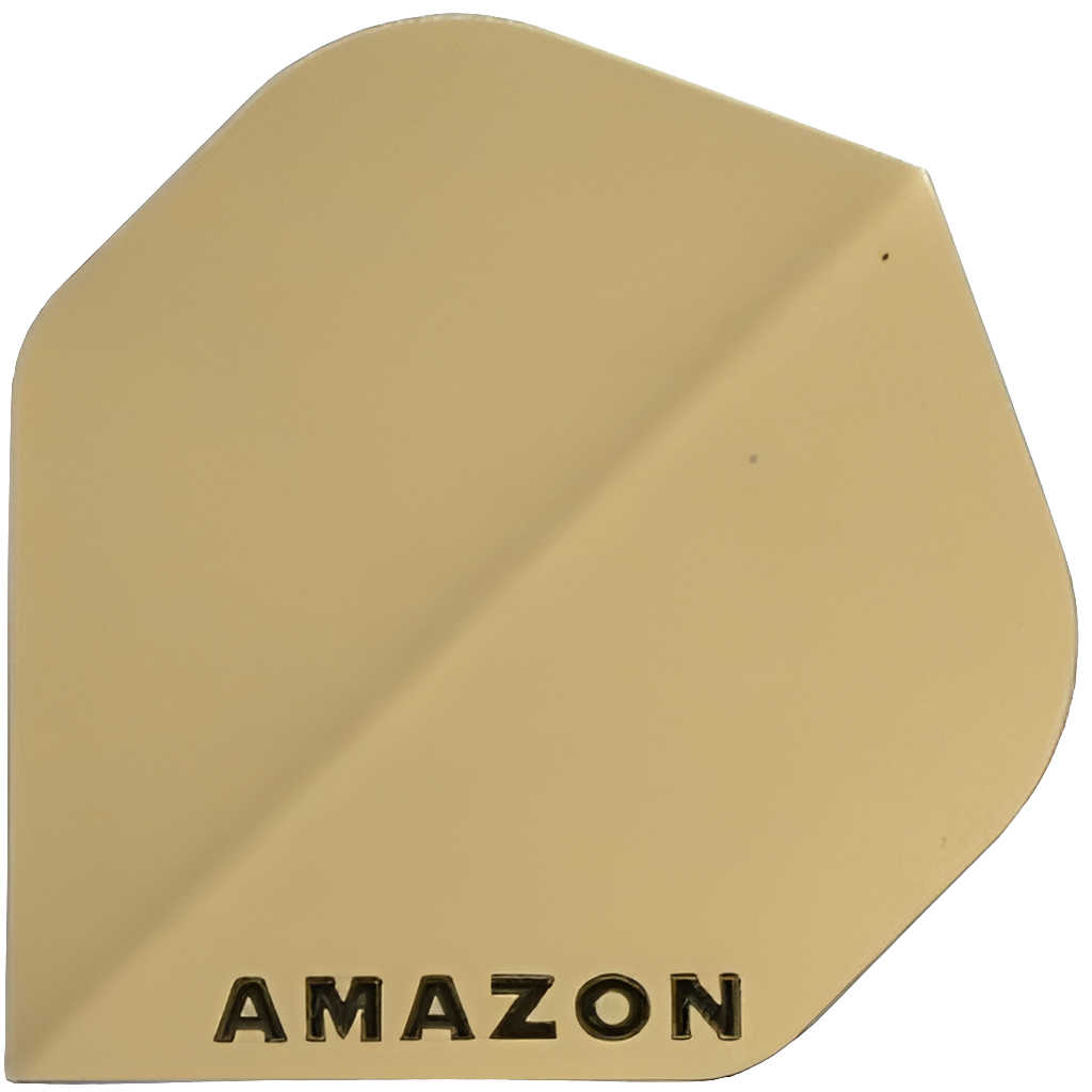 Amazon - Flights 100