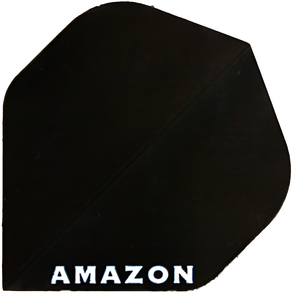 Amazon - Flights 100