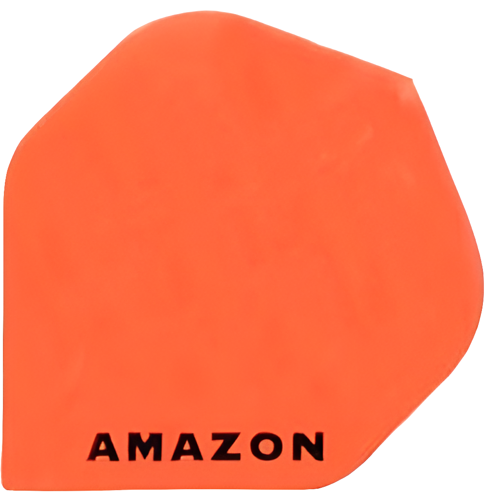 Amazon - Flights 100