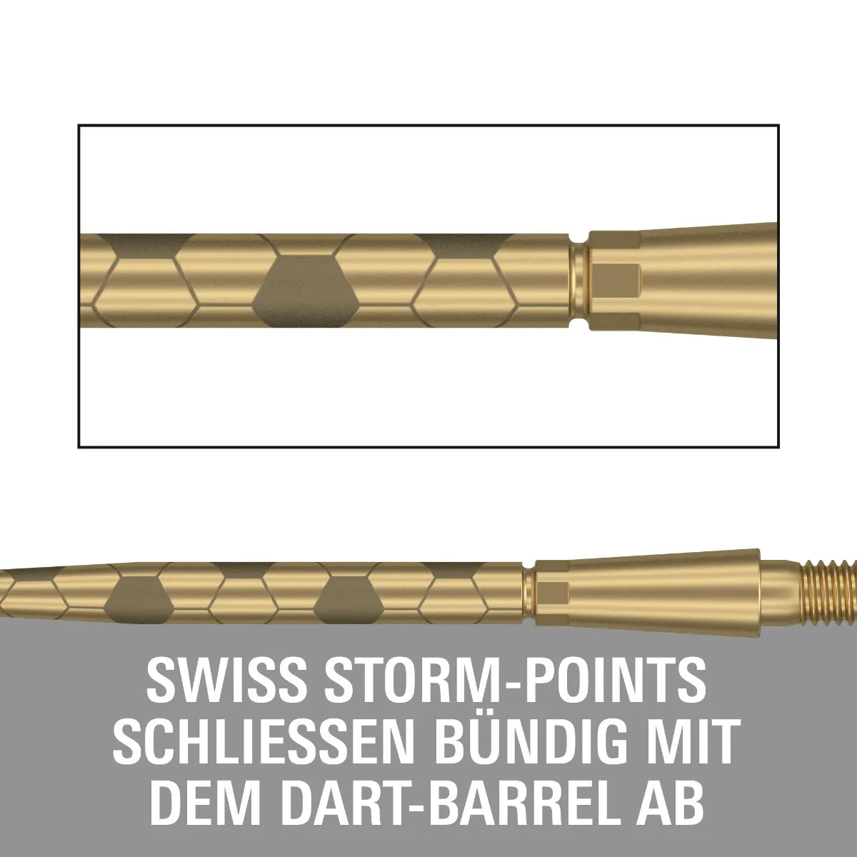 Swiss Storm Onyx Points