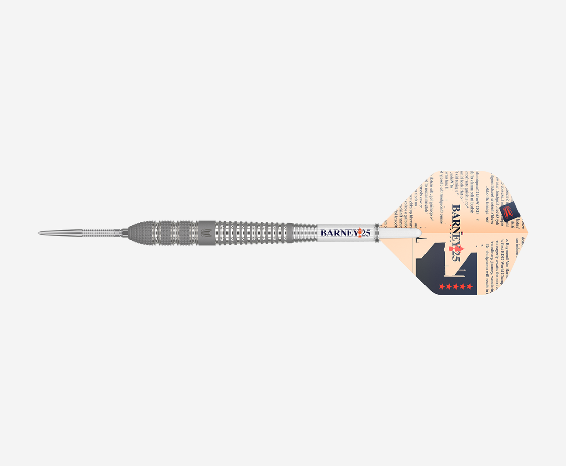 Raymond van Barneveld 25 SP - 95% - Steel Tip