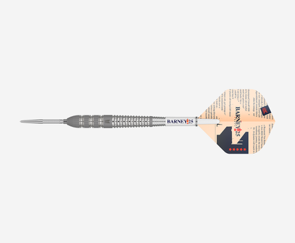 Raymond van Barneveld 25 SP - 95% - Steel Tip