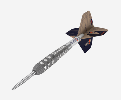 Raymond van Barneveld 25 SP - 95% - Steel Tip